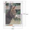 Donkey - Full Round Diamond - 30x40cm