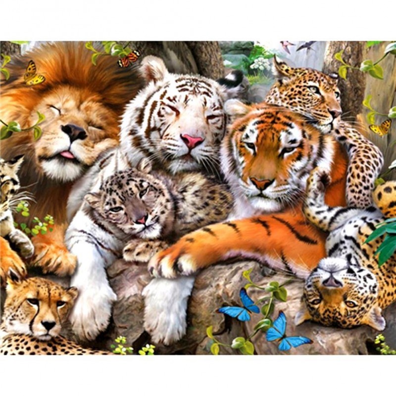 Tiger Lion Animals 5...