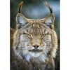 Animal - Full Diamond Painting - 30x40cm