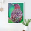 5D DIY Special-shaped Diamond Painting Bird Cross Stitch Embroidery Kit