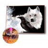 Wolf Black Bird - Full Round Diamond - 30x40cm