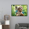 Sloth - Full Round Diamond - 40x30cm