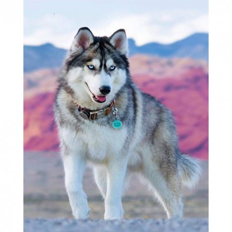 Wolf Animal - Full Round Diamond - 30x40cm