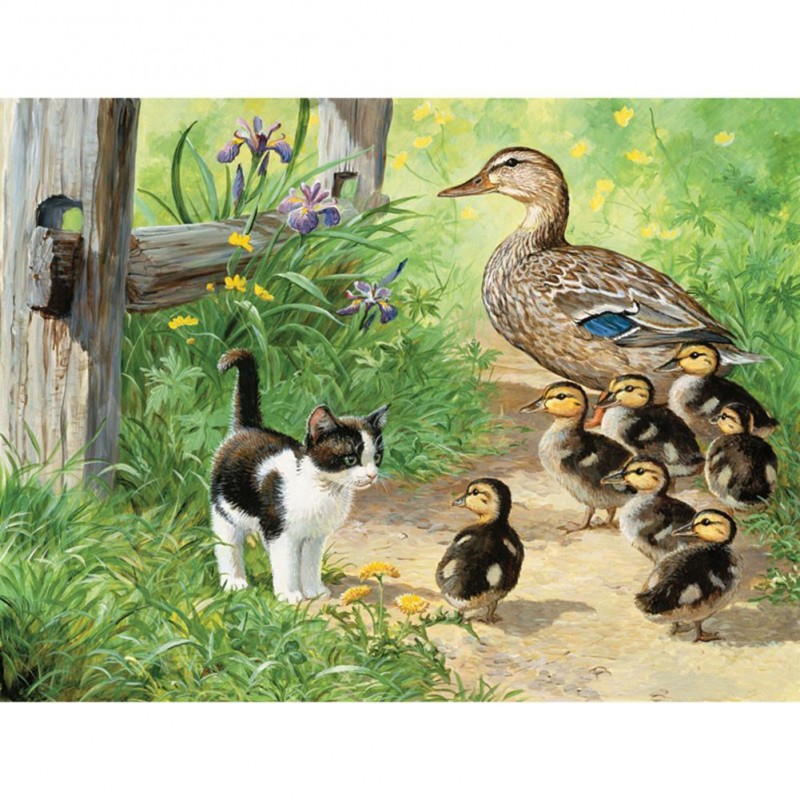 Village Cat Ducks - ...