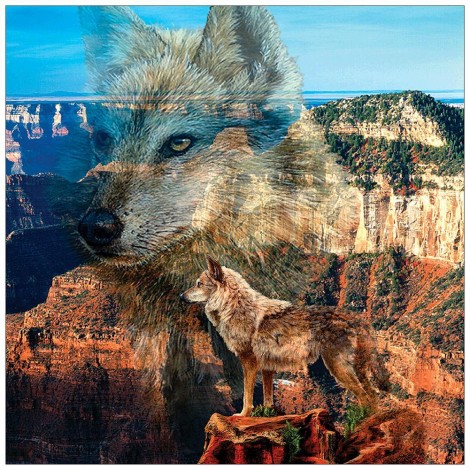 Wolf - Full Diamond Painting - 30x30cm