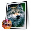 Wolf - Full Round Diamond - 30*40cm