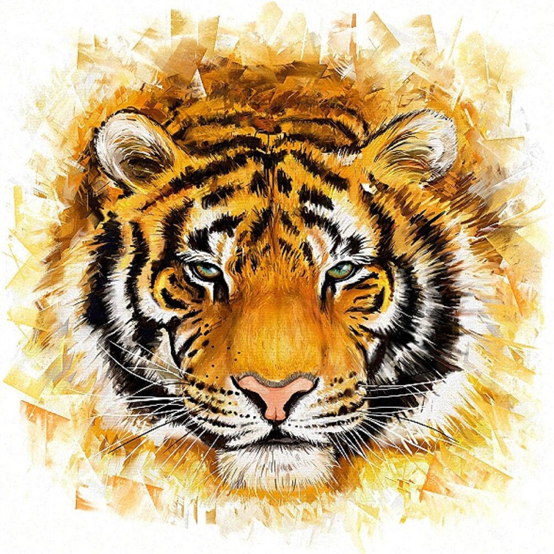 Tiger Animal - Full ...