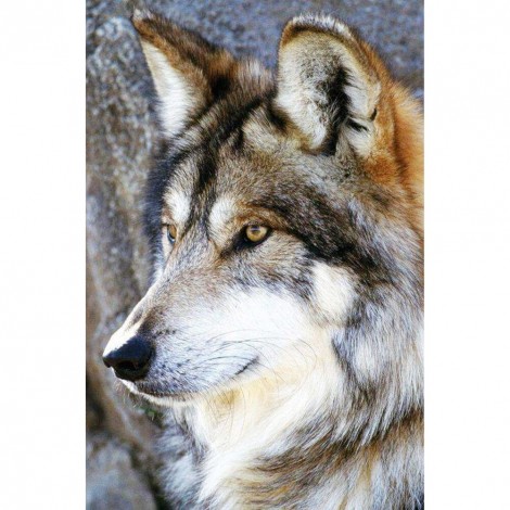 Wolf  - Full Round Diamond - 30x40cm