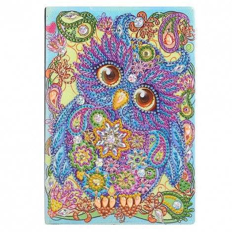 Owl Bird 50 Pages A5 Drawing Notebook