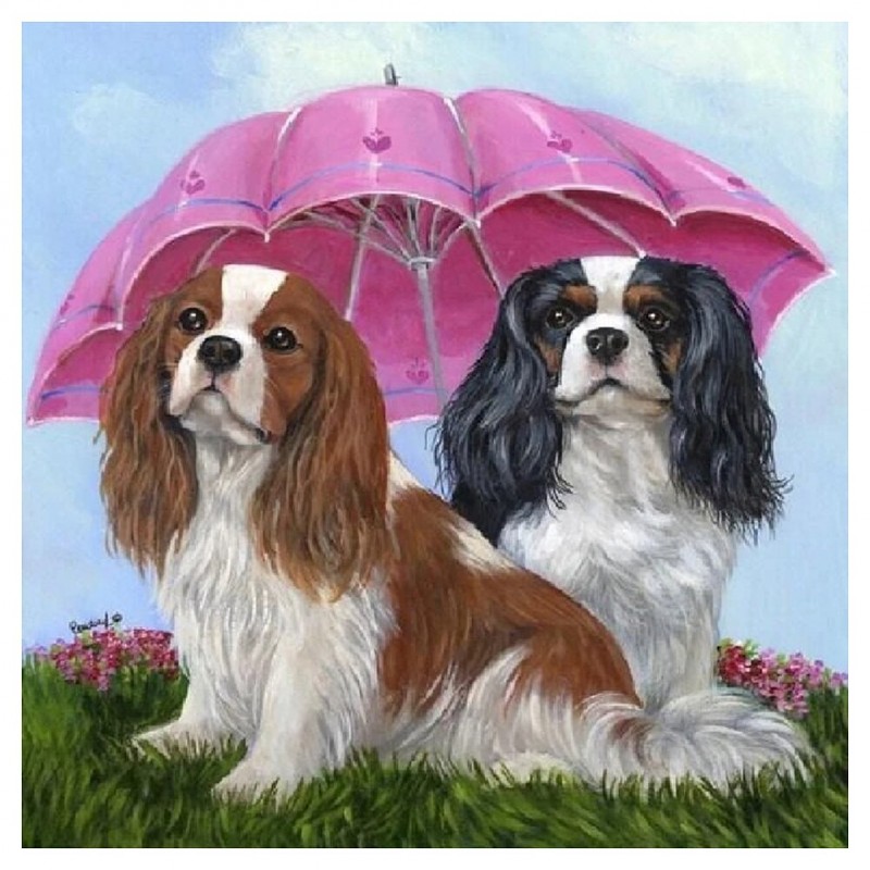 Umbrella Dogs Animal...