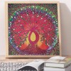 Abstract - Special Shaped Diamond - 30x30cm