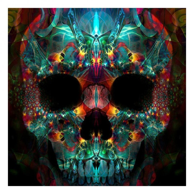 Novelty Skull - Full...