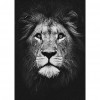 Animal - Full Round Diamond - 30x40cm