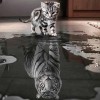 Cat Tiger - Full Round Diamond - 35*35cm