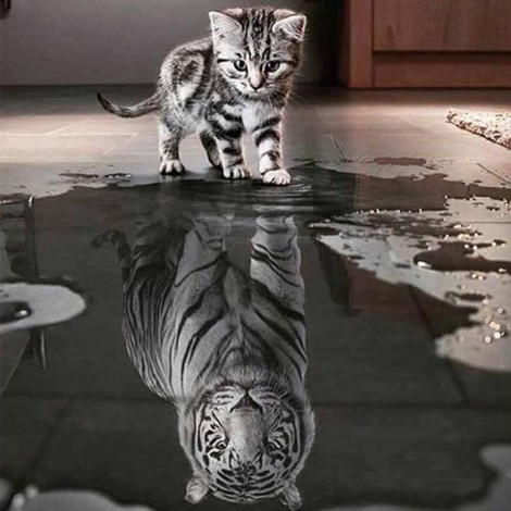 Cat Tiger - Full Round Diamond - 35*35cm