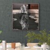 Cat Tiger - Full Round Diamond - 35*35cm