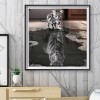 Cat Tiger - Full Round Diamond - 35*35cm
