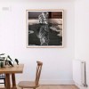 Cat Tiger - Full Round Diamond - 35*35cm