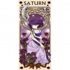 Saturn - Full Round Diamond - 40x80cm