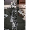 Cat TigerAnimal - Full Diamond Painting - 30x40cm