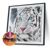 Tiger Part Set - Special Shaped Diamond - 30x30cm