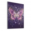Butterfly - Special Shaped Diamond - 30x40cm