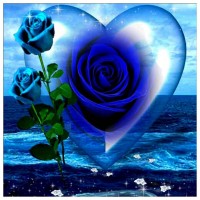 Blue Rose Heart - Partial...