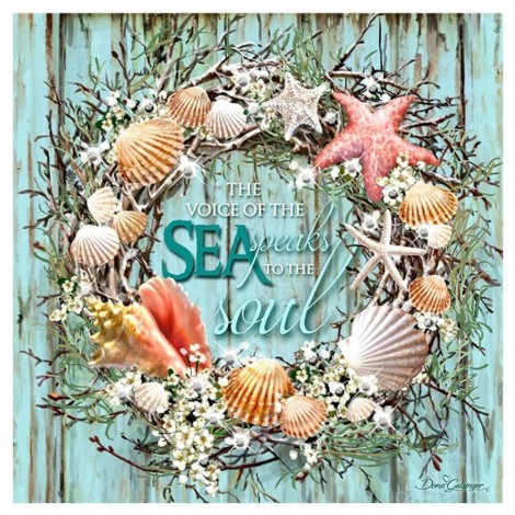 Conch - Full Round Diamond - 30x30cm